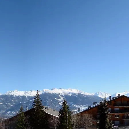 Apartman Mercure 202 *